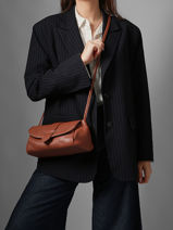 Shoulder Bag M Agnes Leather Etrier Brown agnes EAGC205M-vue-porte